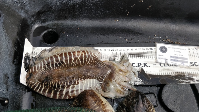 Fish Measure Picture