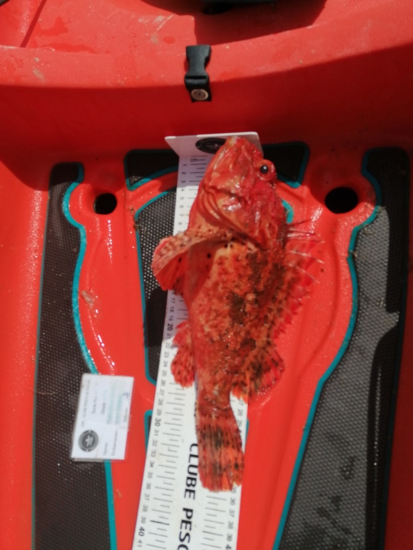 Fish Measure Picture