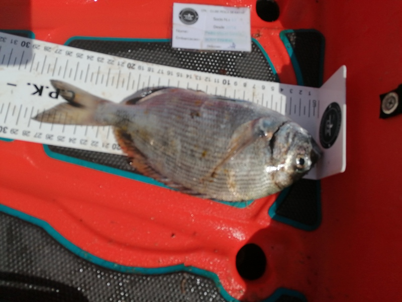 Fish Measure Picture