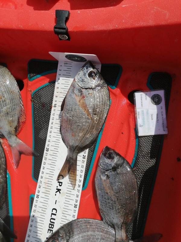Fish Measure Picture