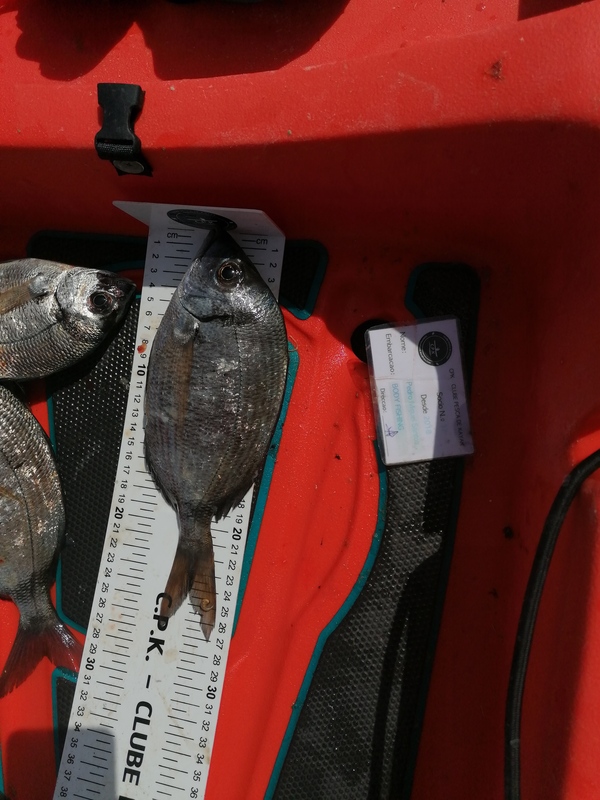 Fish Measure Picture