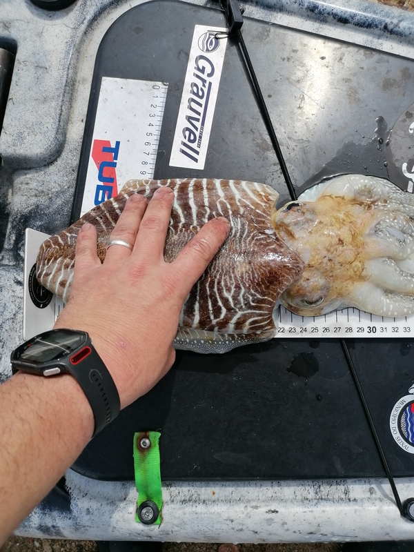 Fish Measure Picture