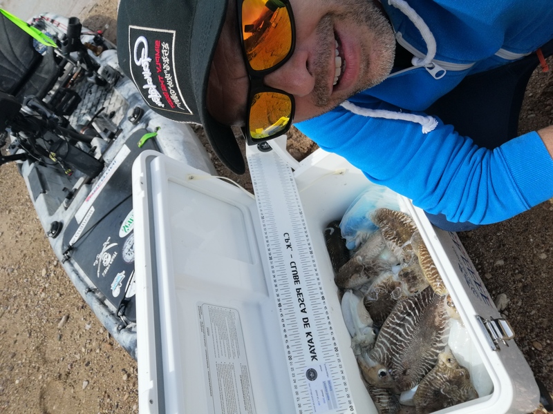 Fish Profile Picture