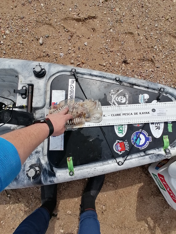 Fish Measure Picture