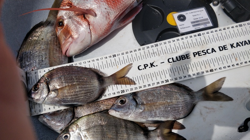 Fish Measure Picture