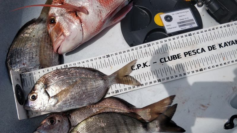 Fish Measure Picture