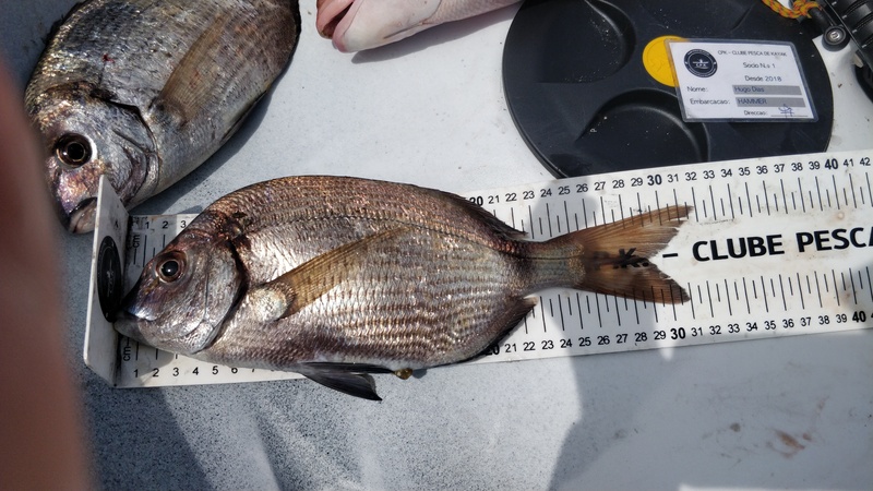 Fish Measure Picture