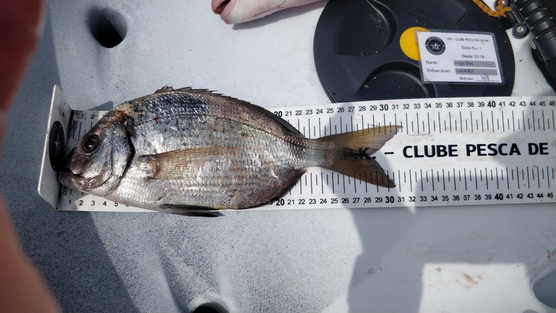 Fish Measure Picture