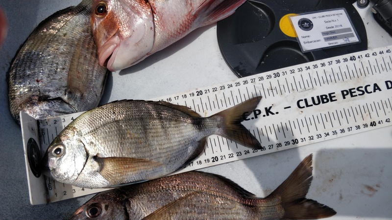 Fish Measure Picture