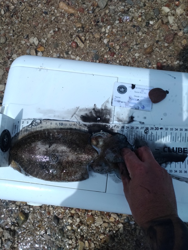 Fish Measure Picture