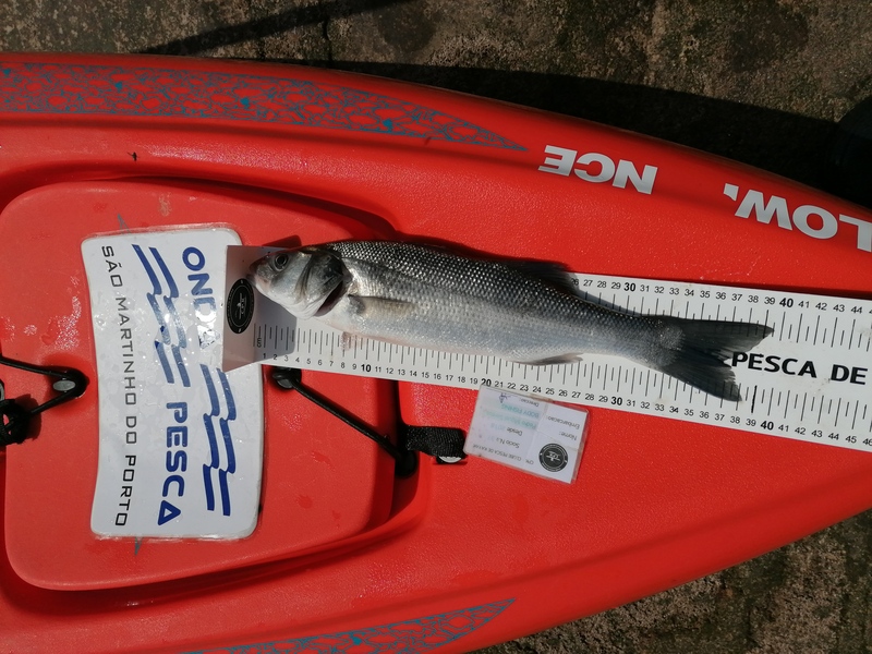 Fish Measure Picture