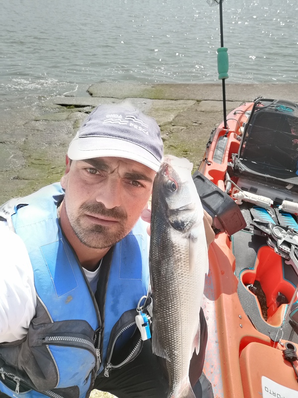 Fish Profile Picture