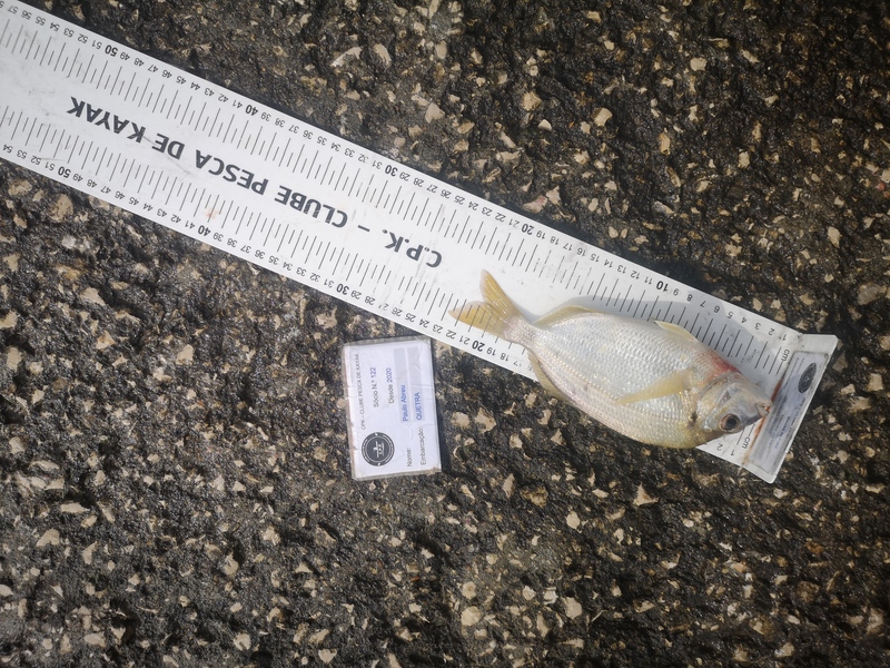Fish Measure Picture