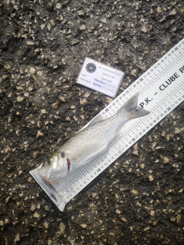 Fish Measure Picture