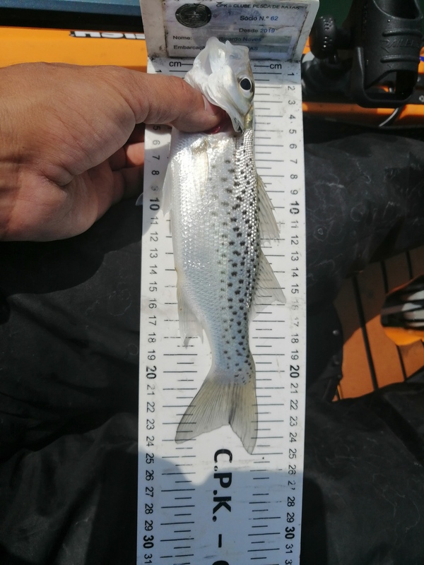Fish Measure Picture
