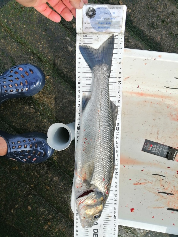 Fish Measure Picture