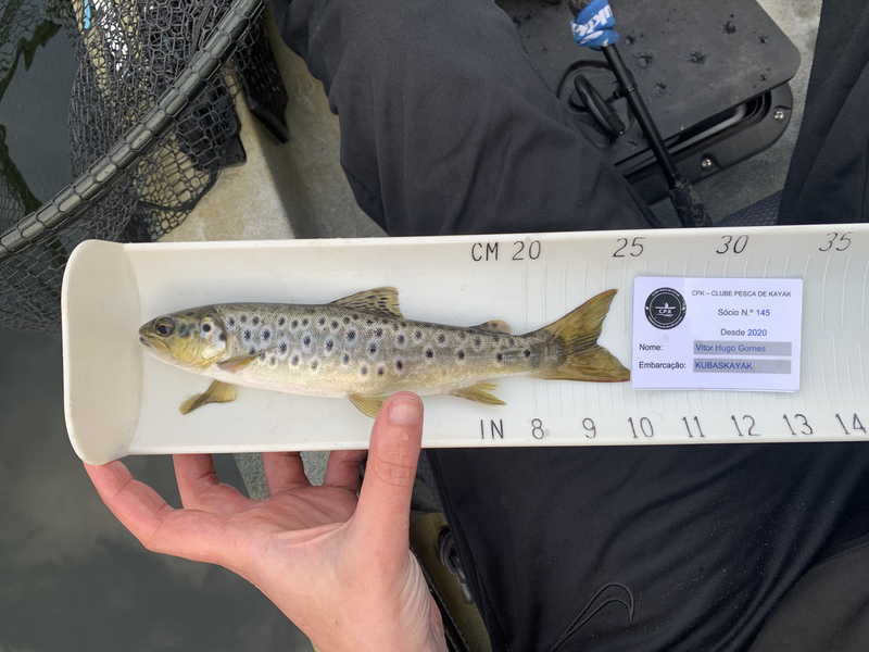 Fish Measure Picture