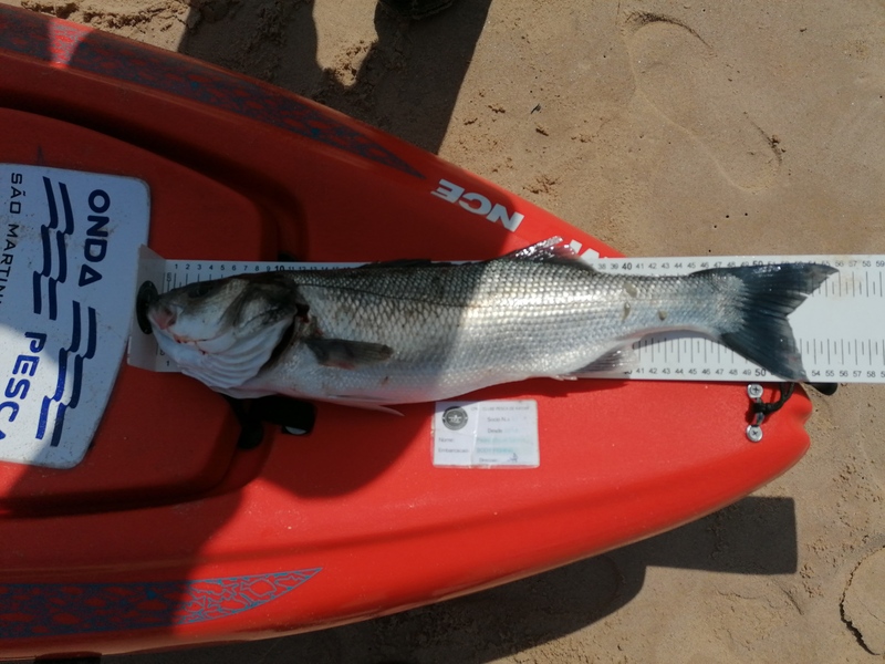 Fish Measure Picture