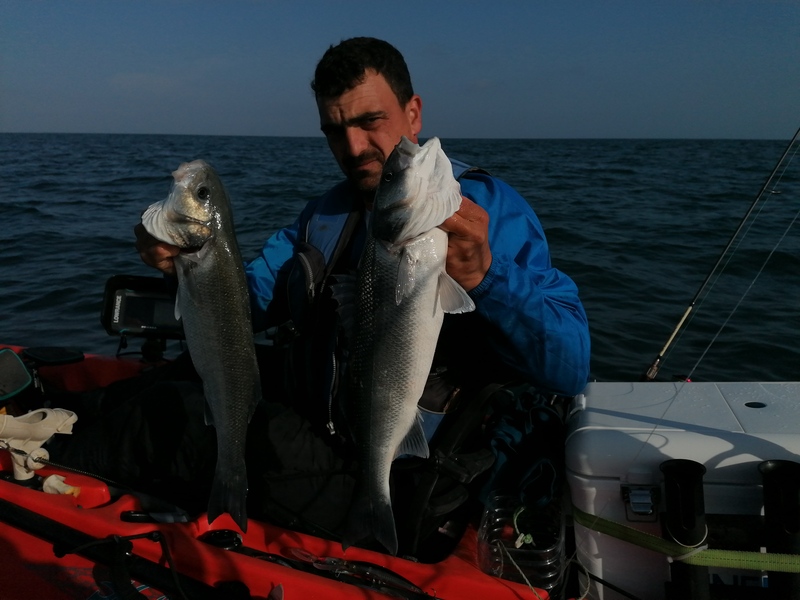Fish Profile Picture