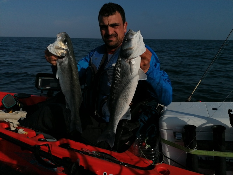 Fish Profile Picture