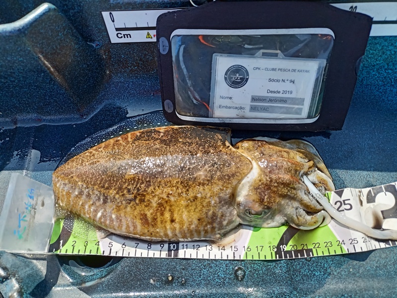 Fish Measure Picture