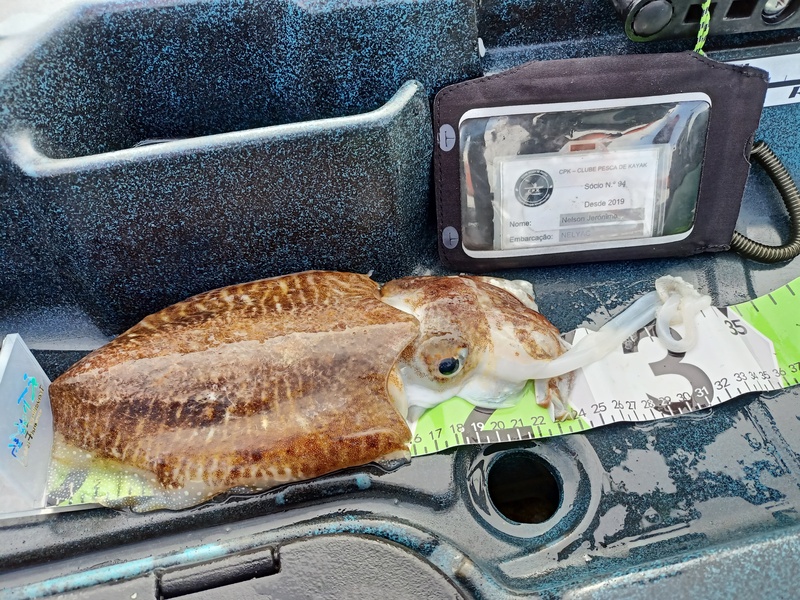 Fish Measure Picture