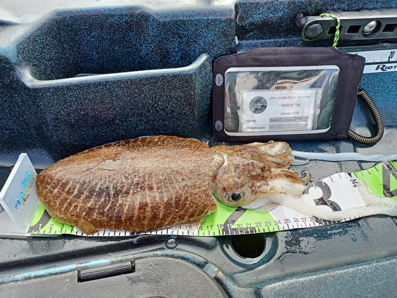 Fish Measure Picture