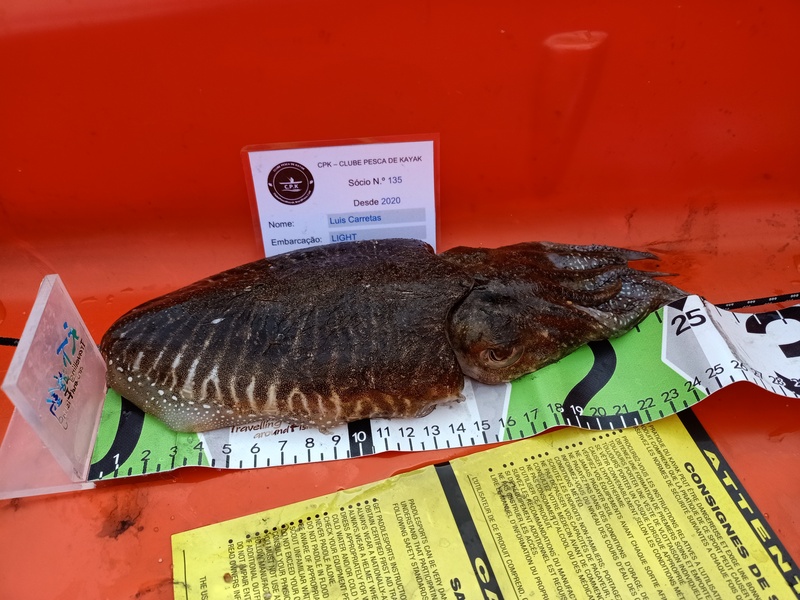 Fish Measure Picture