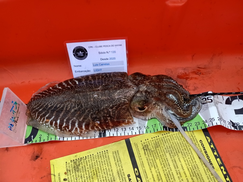 Fish Measure Picture