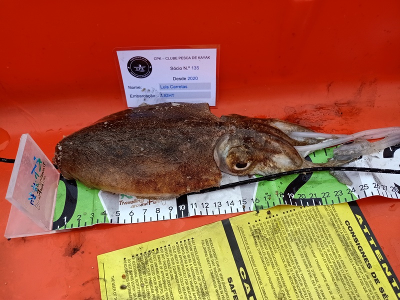 Fish Measure Picture
