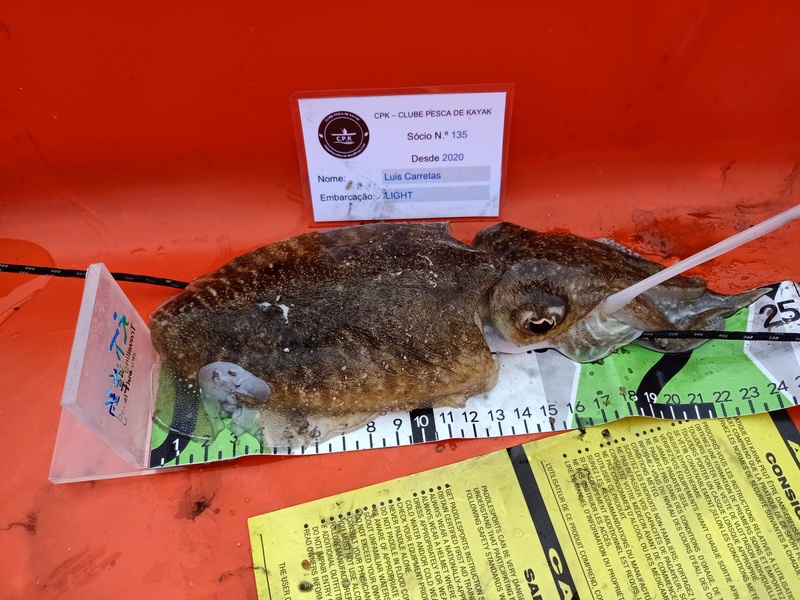 Fish Measure Picture