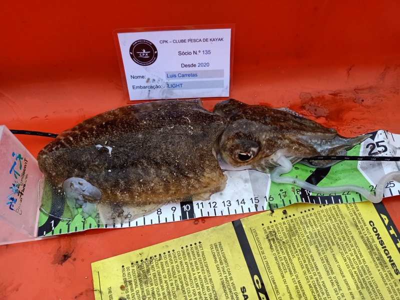 Fish Measure Picture