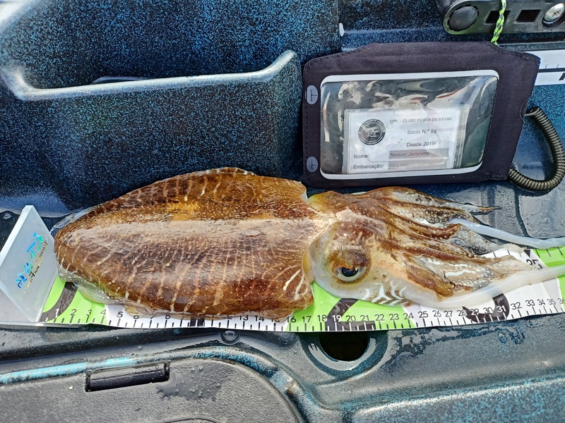Fish Measure Picture