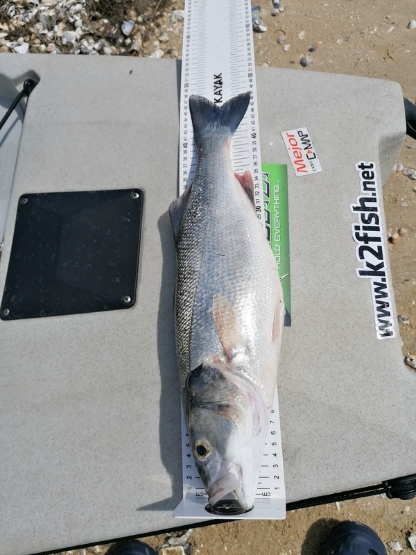 Fish Measure Picture