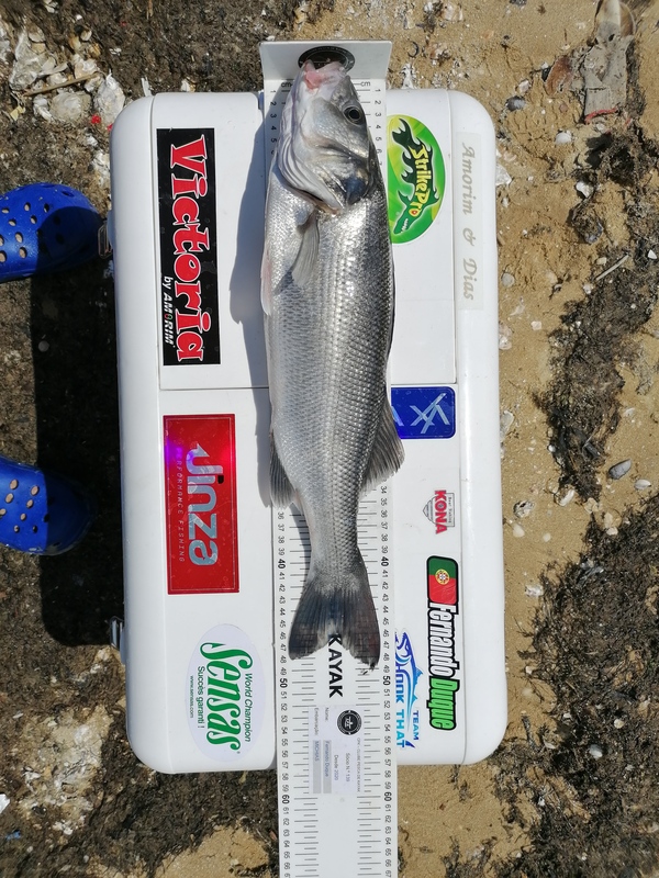 Fish Measure Picture