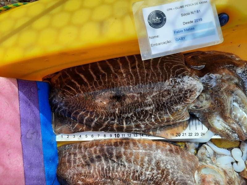 Fish Measure Picture