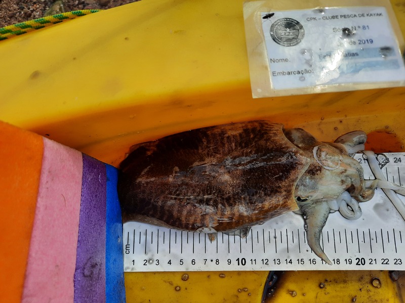 Fish Measure Picture