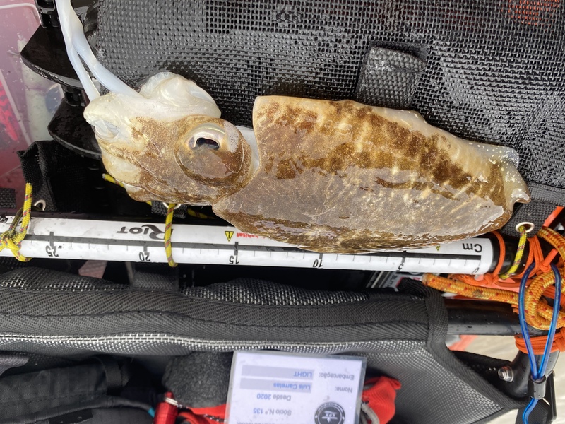 Fish Measure Picture