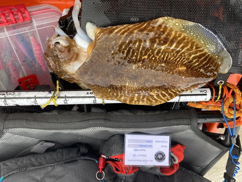 Fish Measure Picture