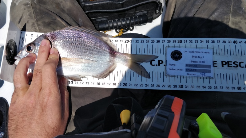 Fish Measure Picture