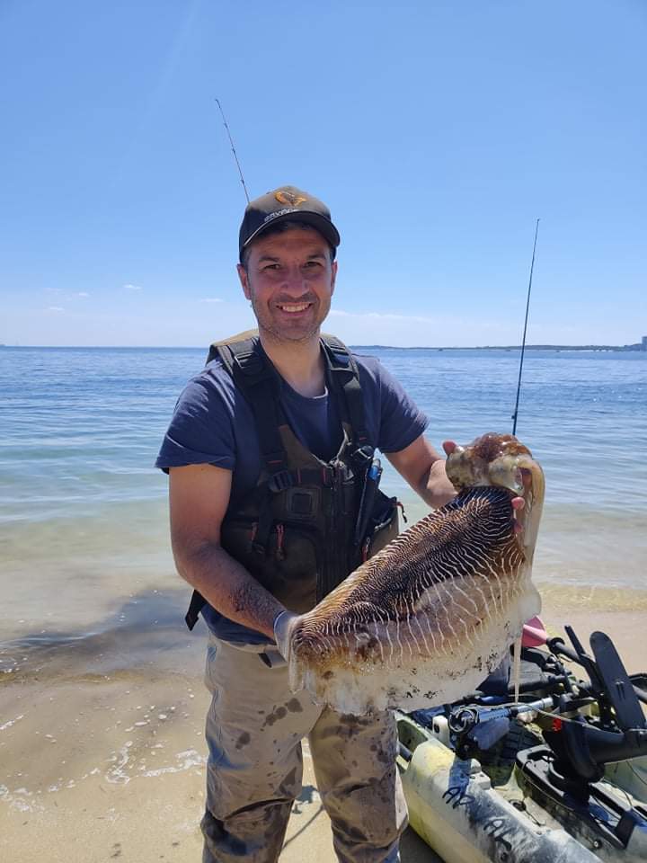 Fish Profile Picture