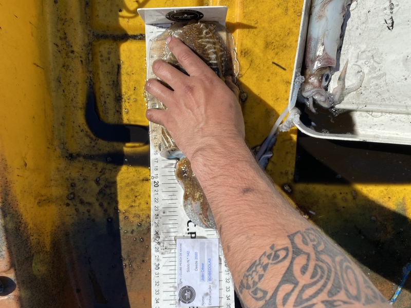 Fish Measure Picture