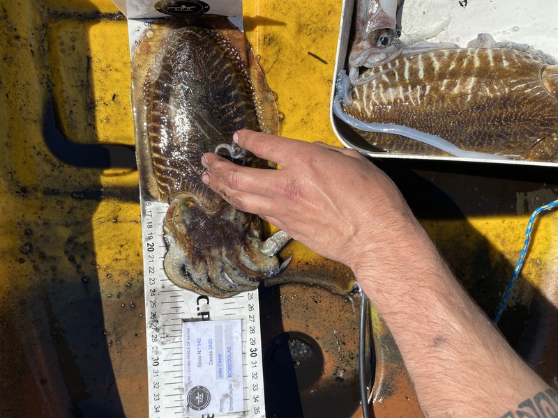 Fish Measure Picture
