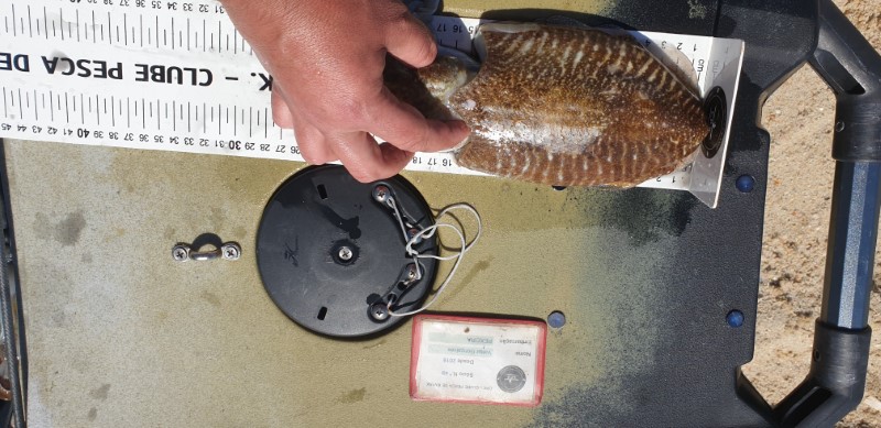 Fish Measure Picture