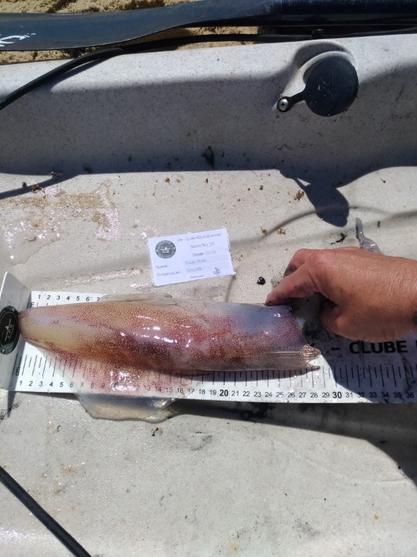 Fish Measure Picture