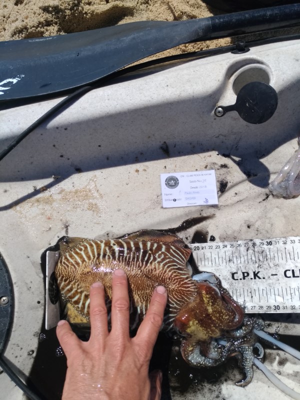 Fish Measure Picture