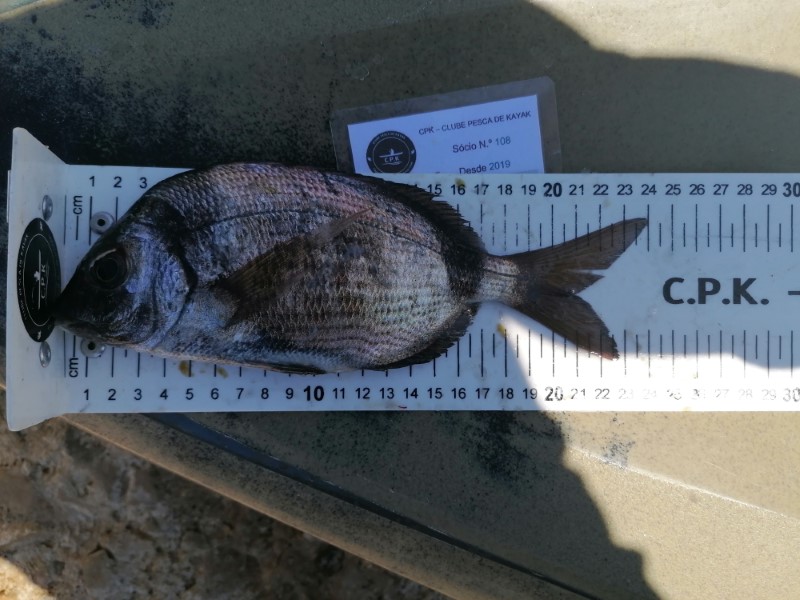 Fish Measure Picture
