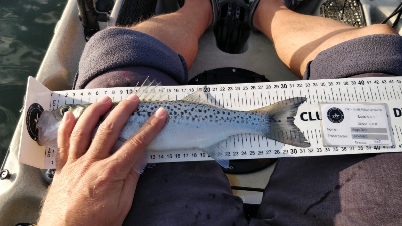 Fish Measure Picture