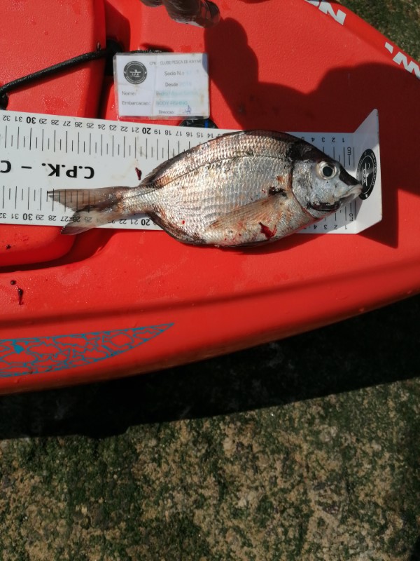 Fish Measure Picture