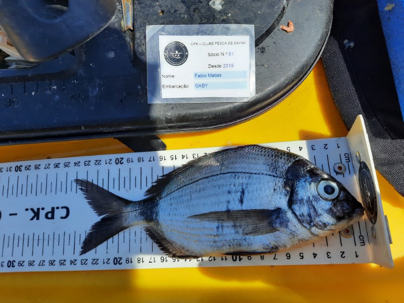 Fish Measure Picture